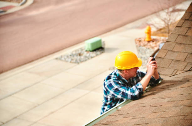 Best Metal Roofing Contractor  in Teutopolis, IL
