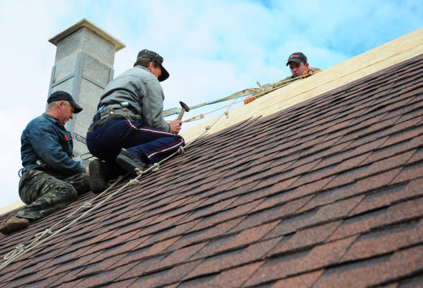 Best Storm Damage Roof Repair  in Teutopolis, IL